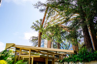 Wayfarers Chapel - smlres