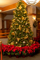 Green Meadows Kind Heart Xmas Party
