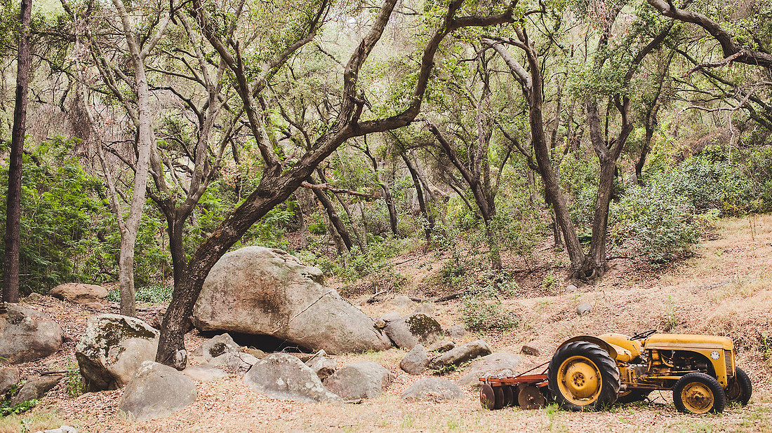 Scott and Rebecca wedding   - photography by ian paredes