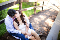 1. blog for vicky and david