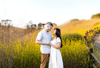 High Res - Pre Wedding photos