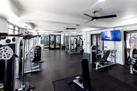 gym - highres