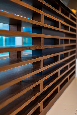High Interiors  - interior design -Savina by Bosa , San Diego