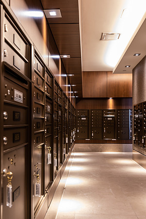 High Interiors  - interior design -Savina by Bosa , San Diego