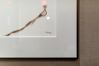 High Interiors  - interior design -Savina by Bosa , San Diego