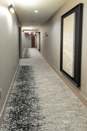 High Interiors  - interior design -Savina by Bosa , San Diego
