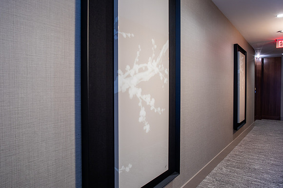 High Interiors  - interior design -Savina by Bosa , San Diego