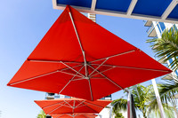 High Interiors  - interior design -Savina by Bosa , San Diego