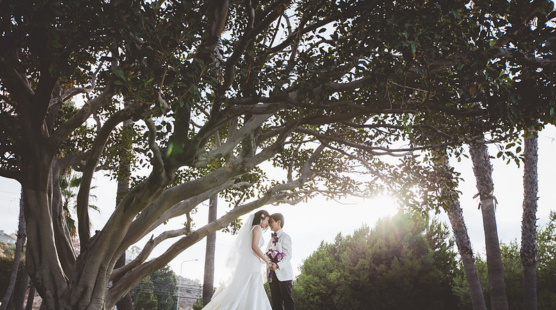 jackie+gen2014